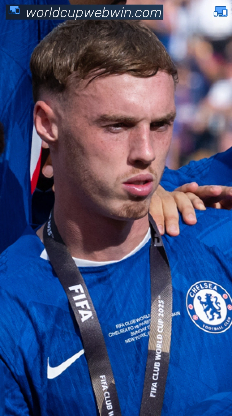 科尔·帕尔默